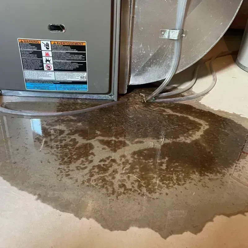 Appliance Leak Cleanup in Monessen, PA